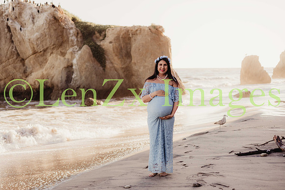 LenZx-Images-18