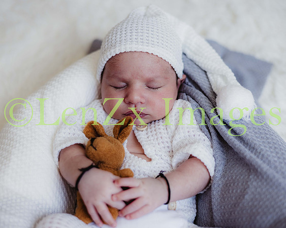 LenZx-Images-242
