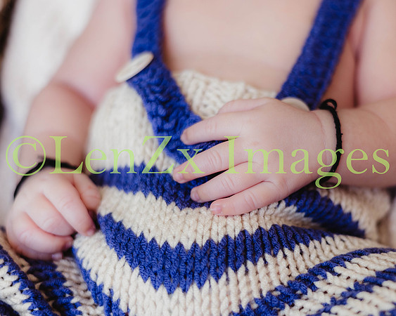 LenZx-Images-91