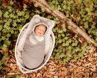 LenZx_Images-6