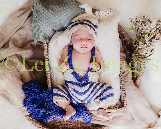 LenZx-Images-82