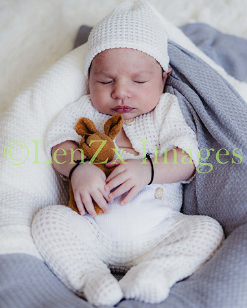 LenZx-Images-239