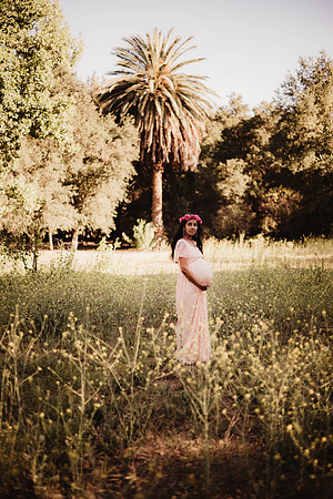 LenZx_Images-53