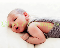 LenZx-Images-2
