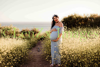 LenZx-Images-10