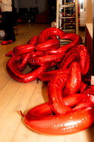 LenZx-Images-3