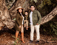 LenZx_Images-3