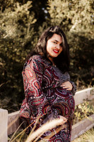 LenZx_Images-7
