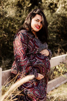 LenZx_Images-8