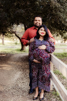 LenZx_Images-18