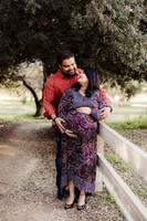 LenZx_Images-20