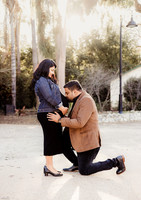 LenZx_Images--8