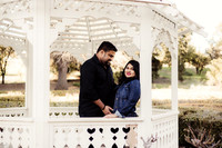 LenZx_Images--13