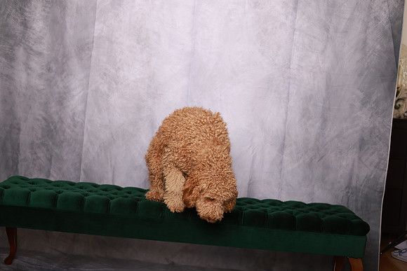 028A7754