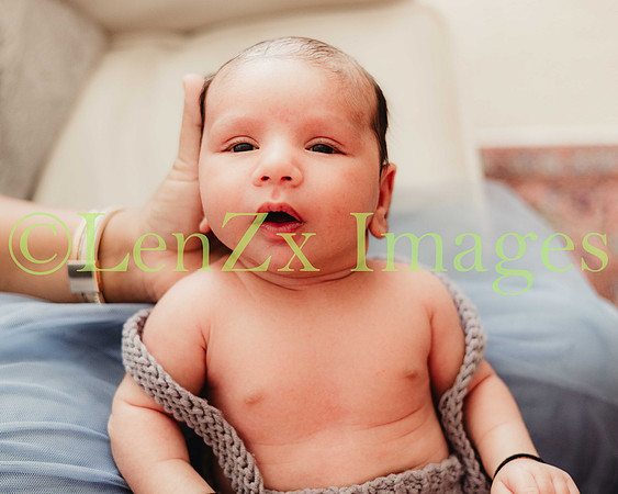 LenZx-Images-25