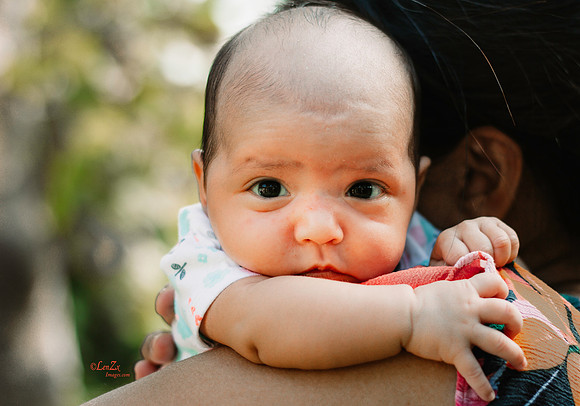 LenZx6