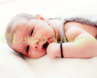 LenZx-Images-5