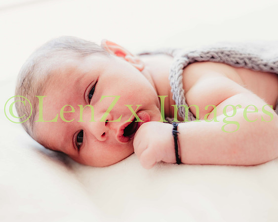 LenZx-Images-5