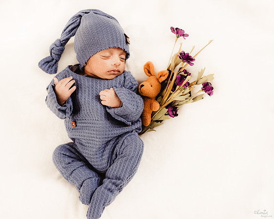 LenZx_Images-8