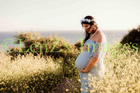 LenZx-Images-7