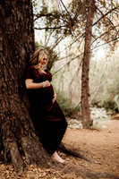 LenZx_Images-8