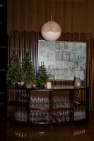 LenZx_Images-7