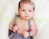 LenZx-Images-8