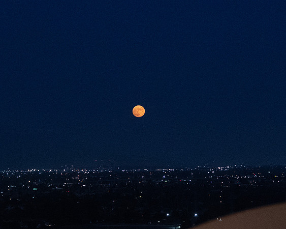 LenZx_Images-167