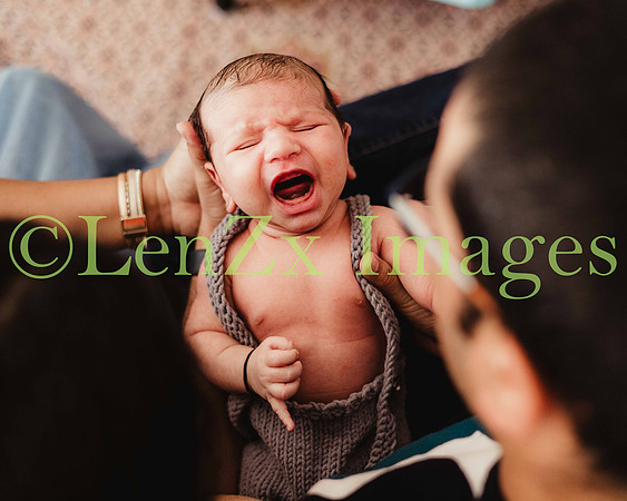 LenZx-Images-28