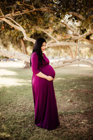 LenZx_Images-7