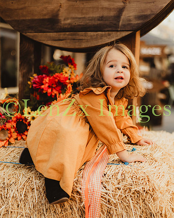 LenZx_Images-197