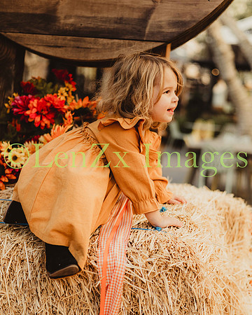 LenZx_Images-196