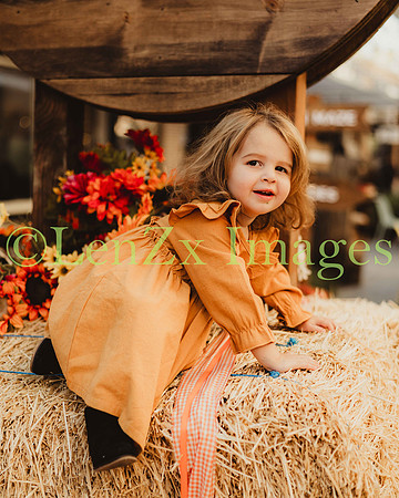 LenZx_Images-198