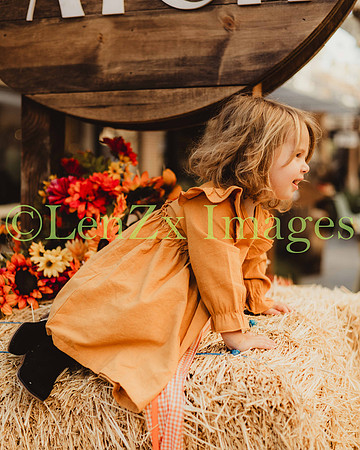 LenZx_Images-199