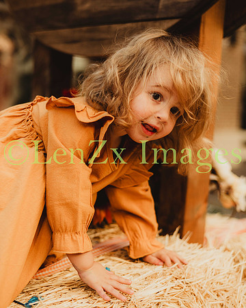 LenZx_Images-200