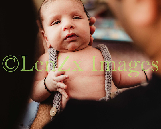 LenZx-Images-29