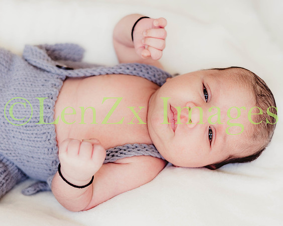 LenZx-Images-7