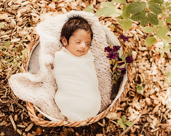 LenZx_Images-1