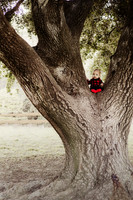 LenZx_Images-8