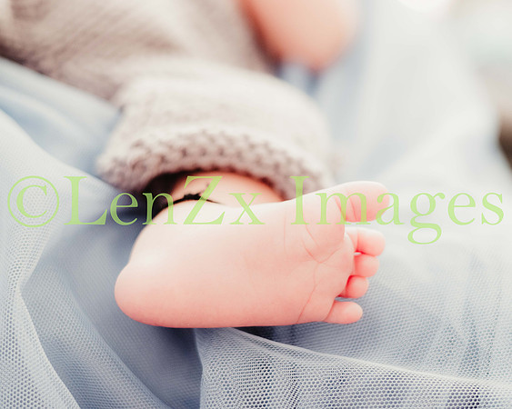 LenZx-Images-23