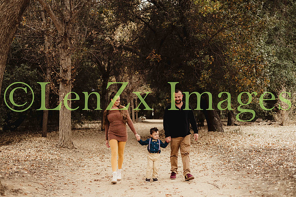 LenZx_Images-56