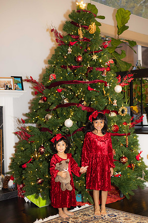 LenZx_Images-12