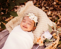 LenZx_Images-1
