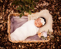 LenZx_Images-2
