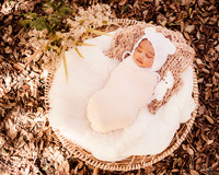 LenZx_Images-4