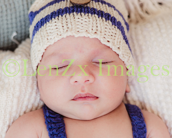 LenZx-Images-110