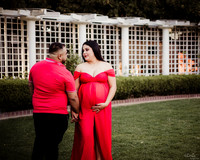 LenZx_Images-19