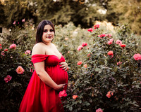 LenZx_Images-21