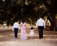 LenZx_Images_-14