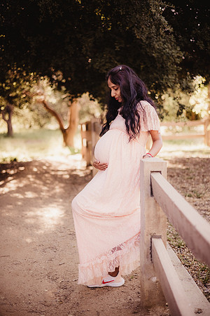 LenZx_Images-13
